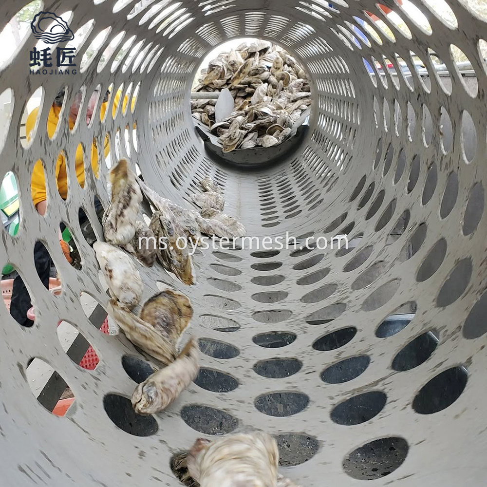 Stainless Steel Oyster Grader